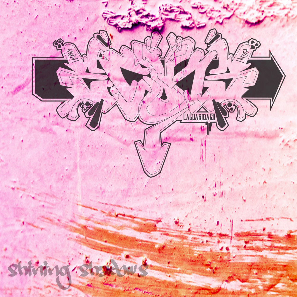 Portada de Shining Shadows