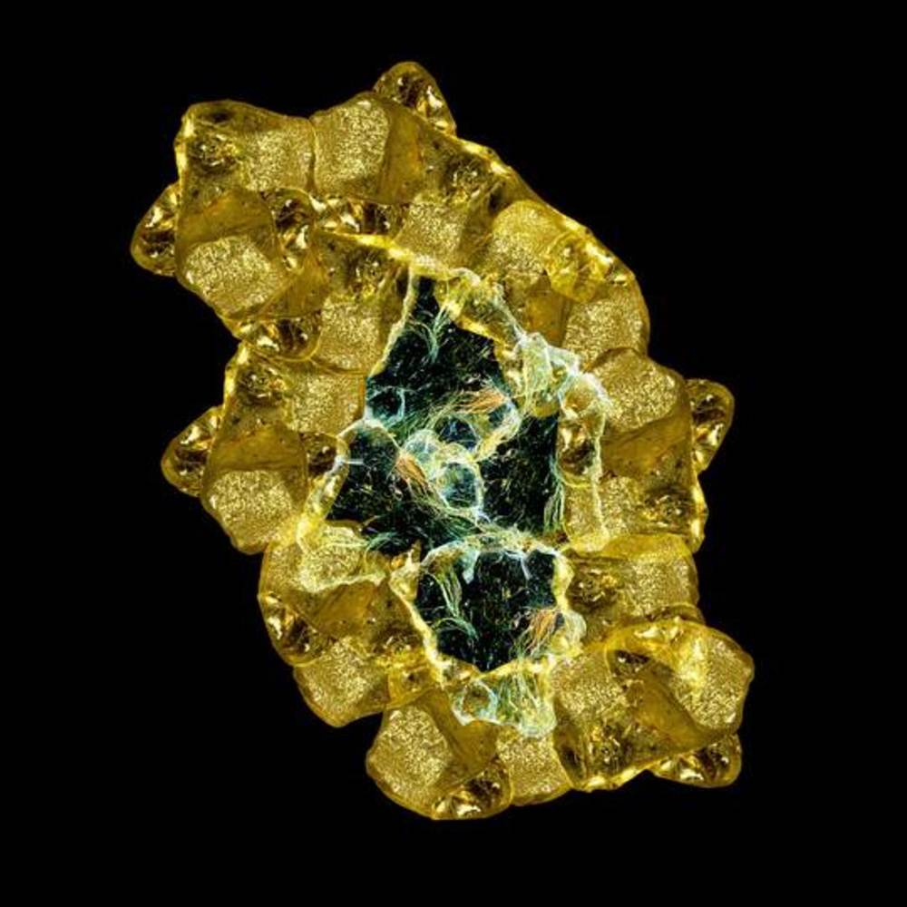 Portada de La Búsqueda