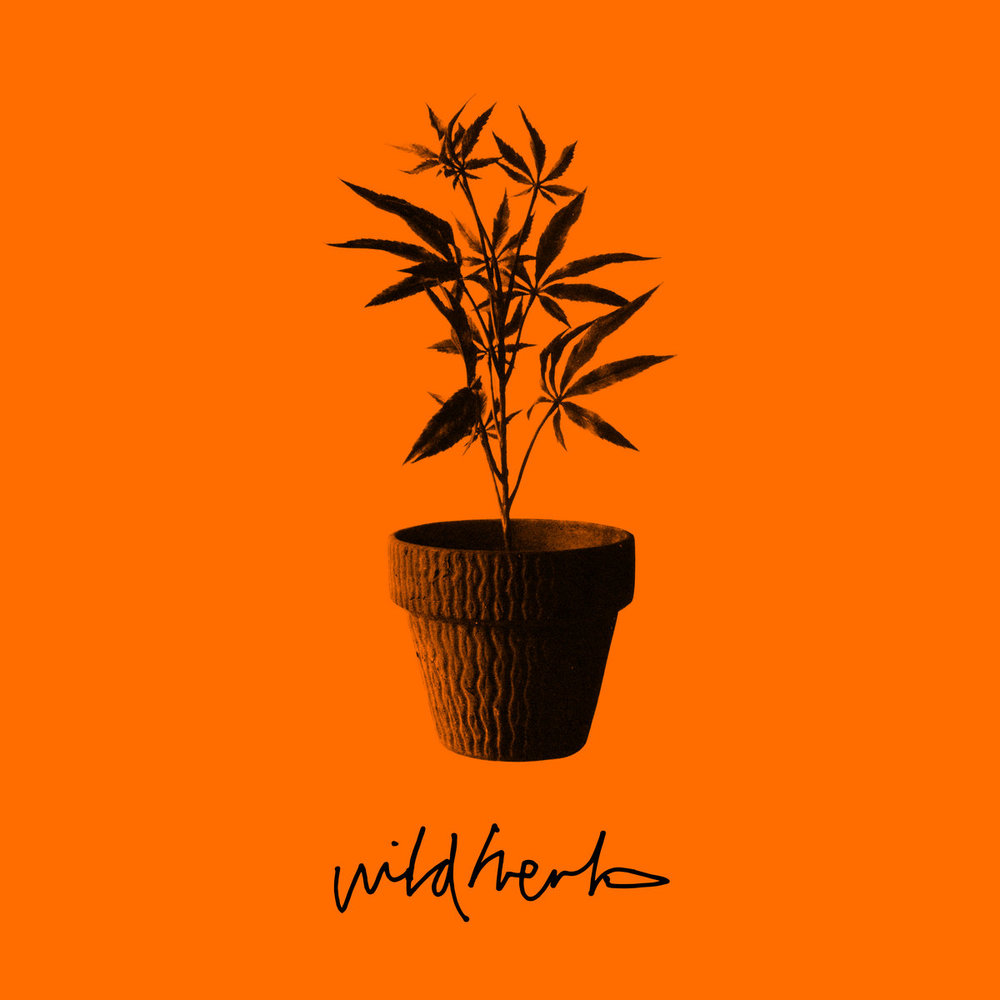 Portada de Wild Herb