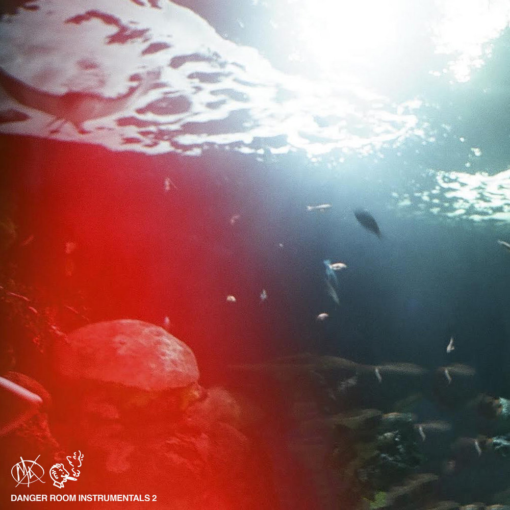 Danger Room Instrumentals 2