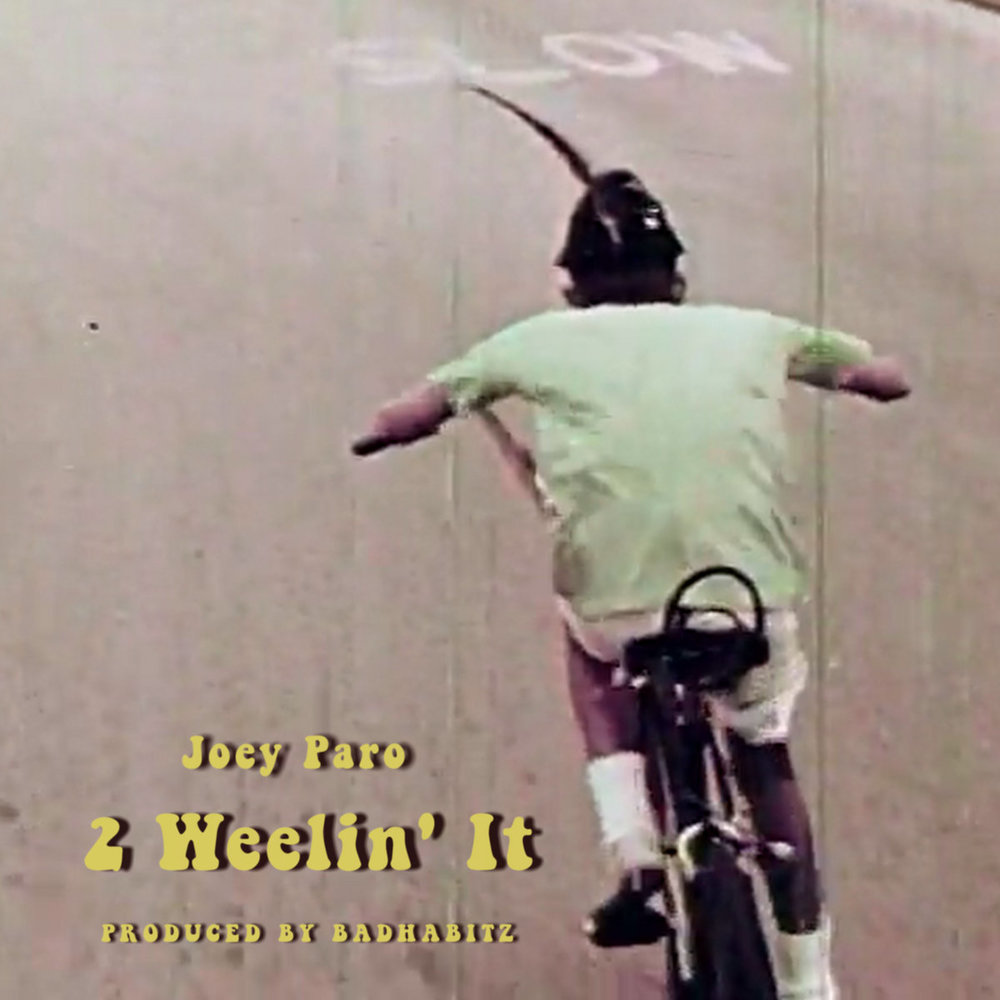 Portada de 2 Wheelin it