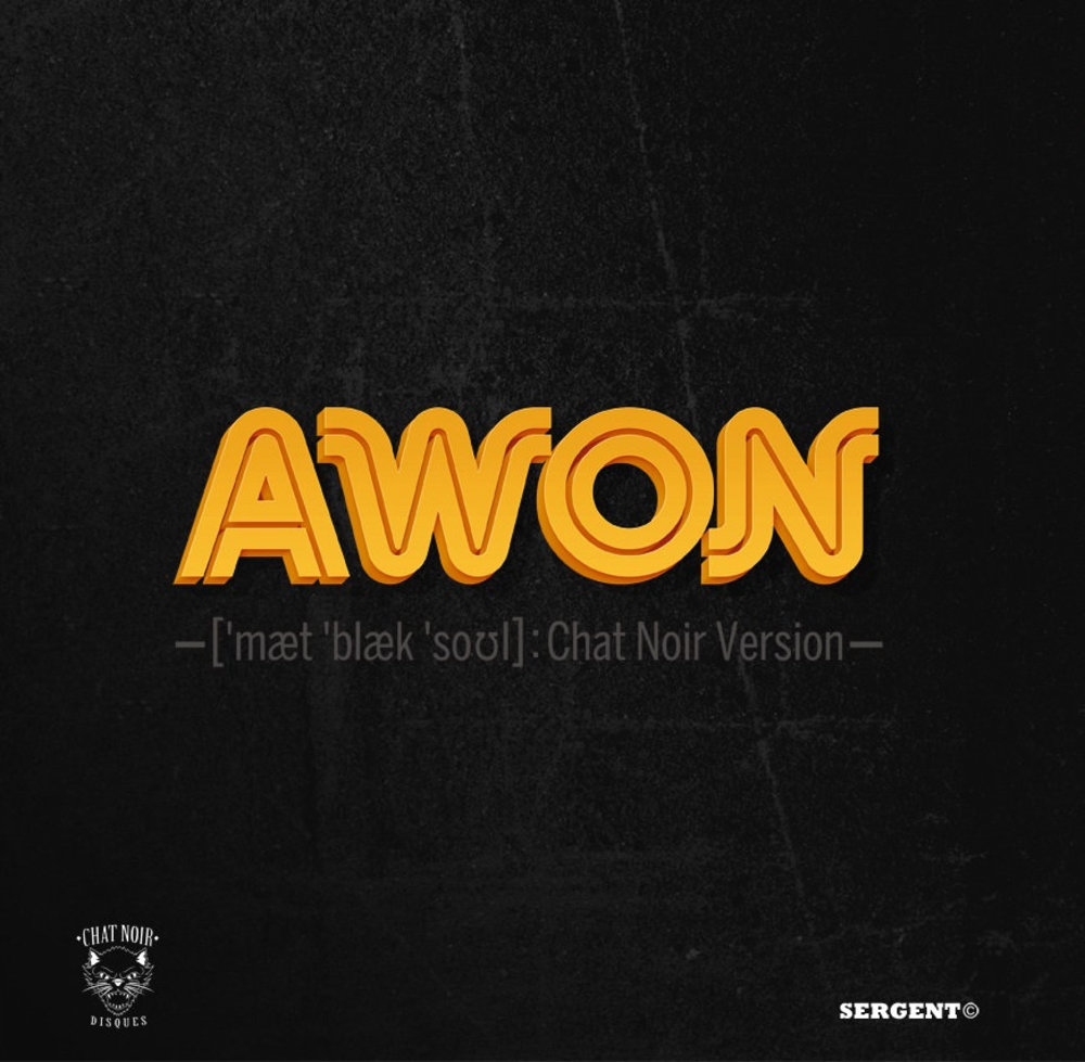 Matte Black Soul - Chat Noir Version