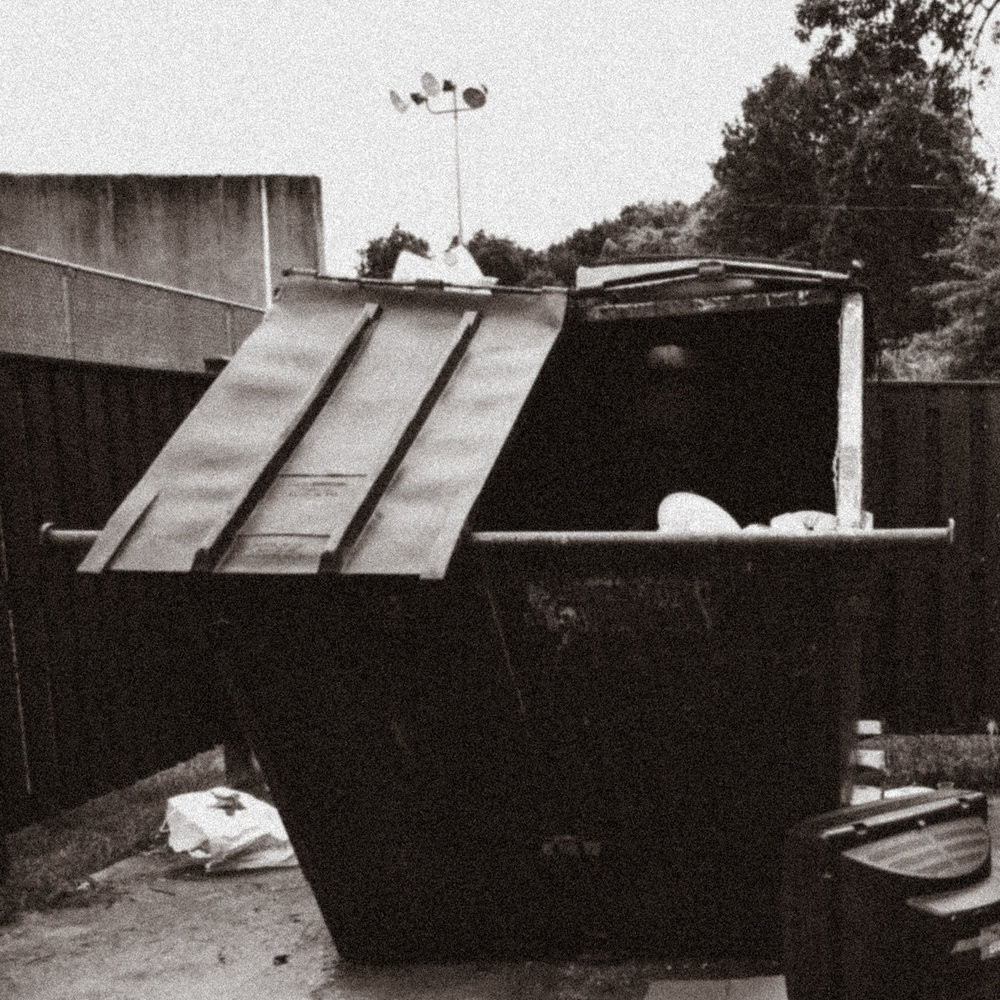 Portada de Dumpster Dive