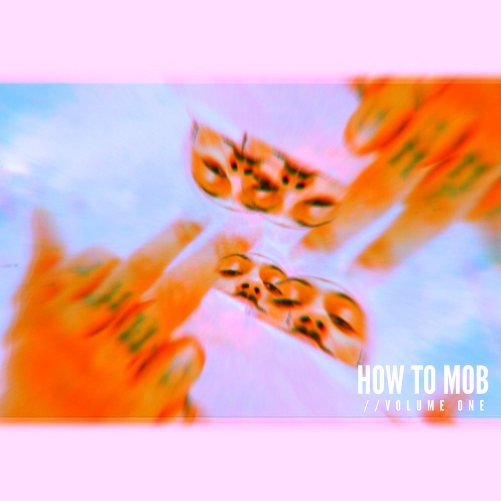 Portada de How To Mob Vol.1