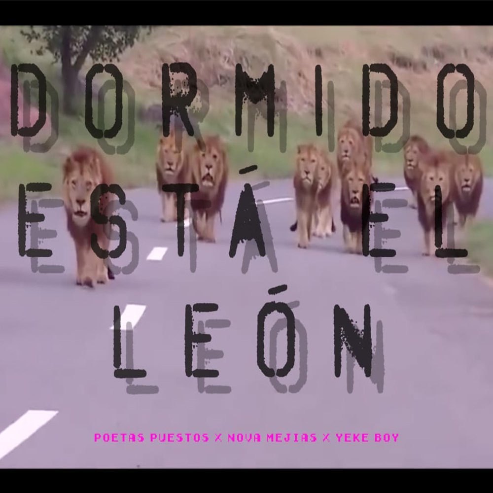 Dormido Está El León