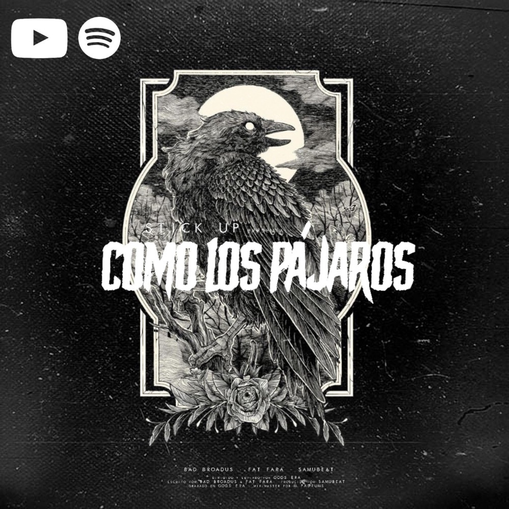 Como Los Pájaros