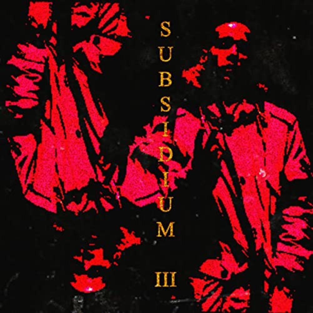 Subsidium III