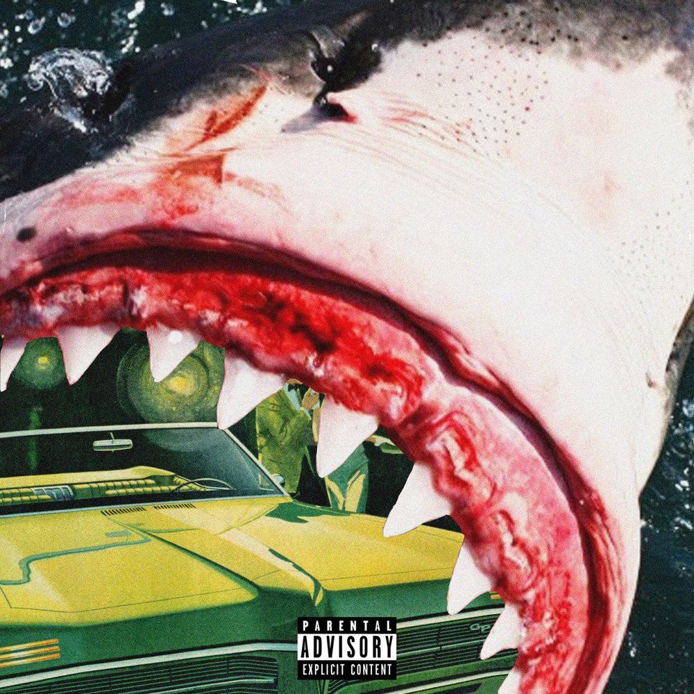 Portada de Shark Report