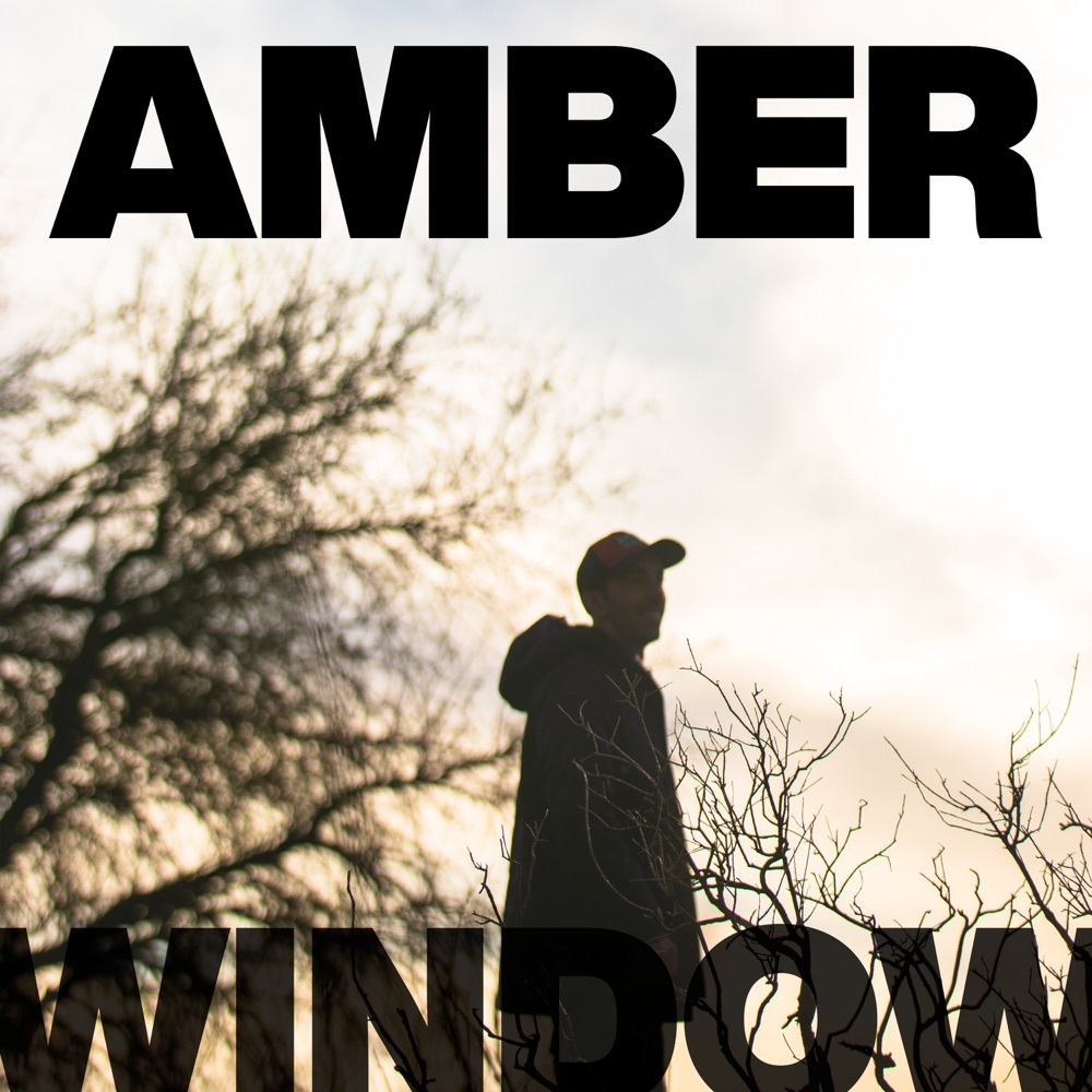 Portada de Shoemaker.levy9