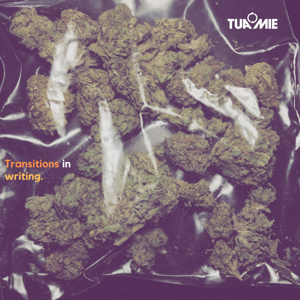 Portada de Transitions In Writing