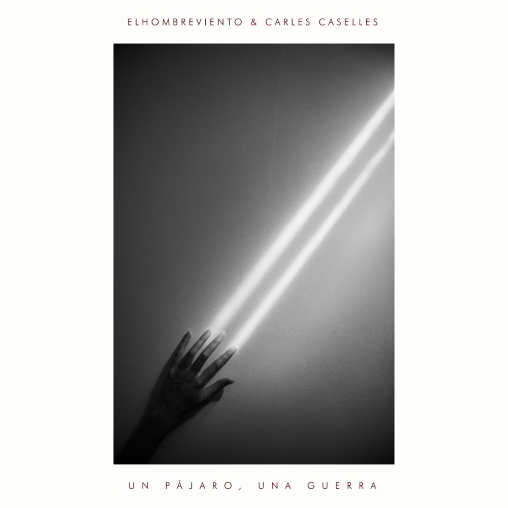 Un Pájaro, Una Guerra