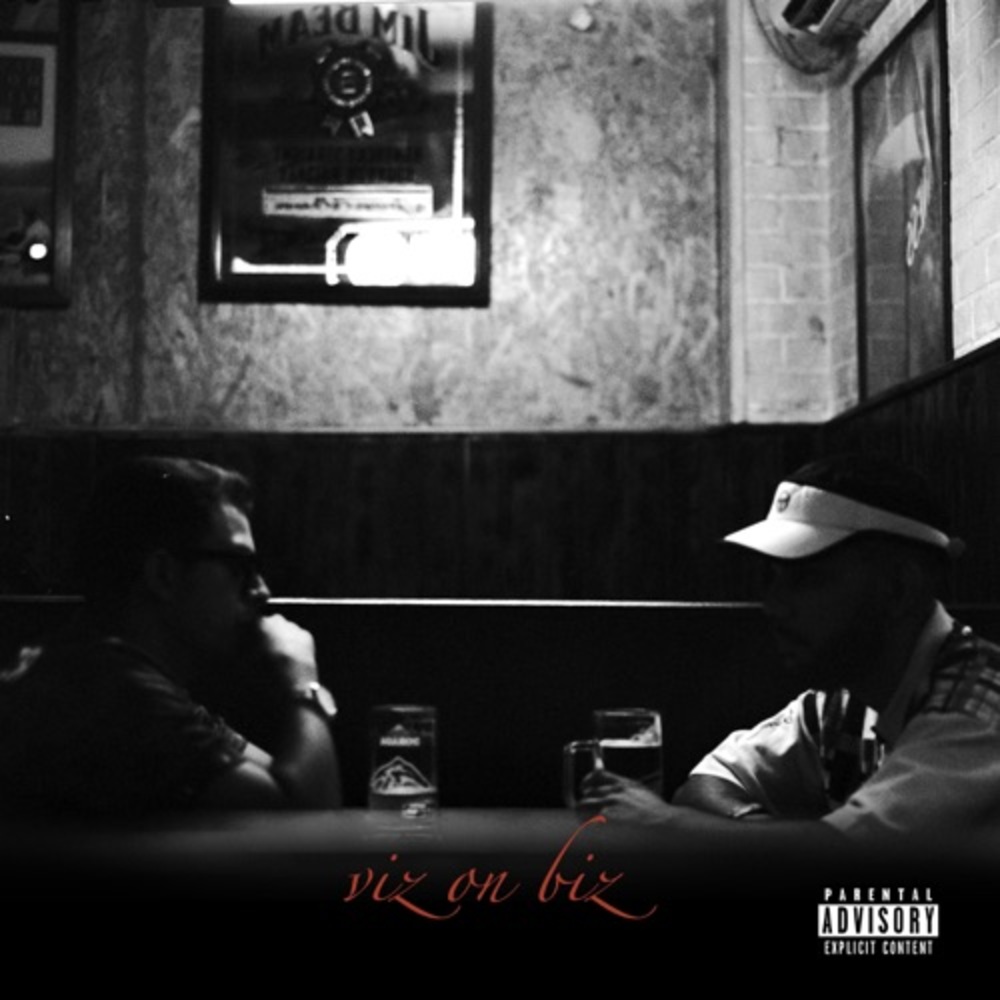 Viz On Biz