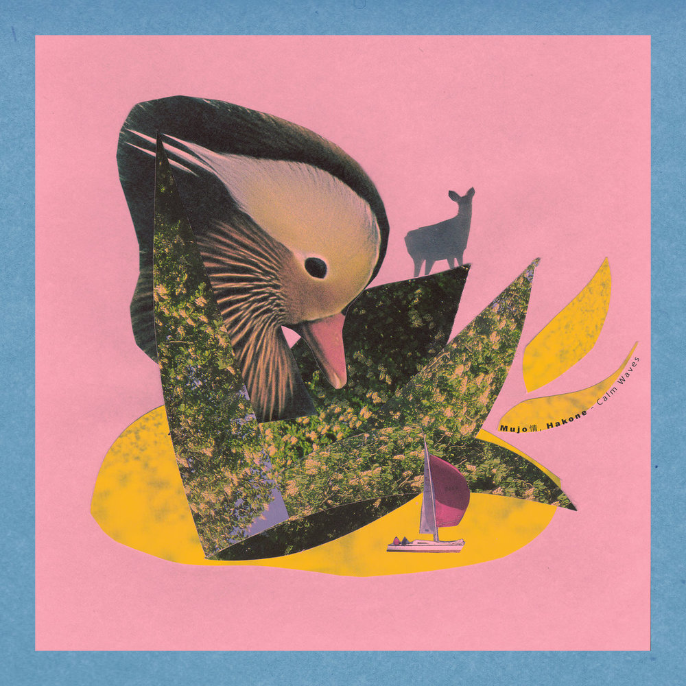 Portada de Calm Waves