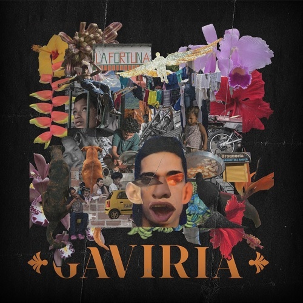 Portada de Gaviria