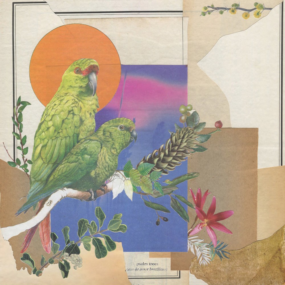 Portada de Caso de amor brasileiro