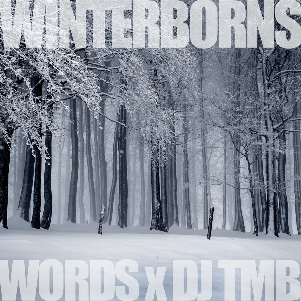 Portada de The Winterborns