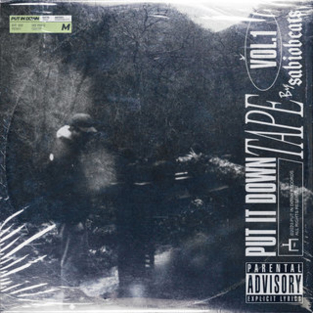 Put it Down Mixtape Vol. 1