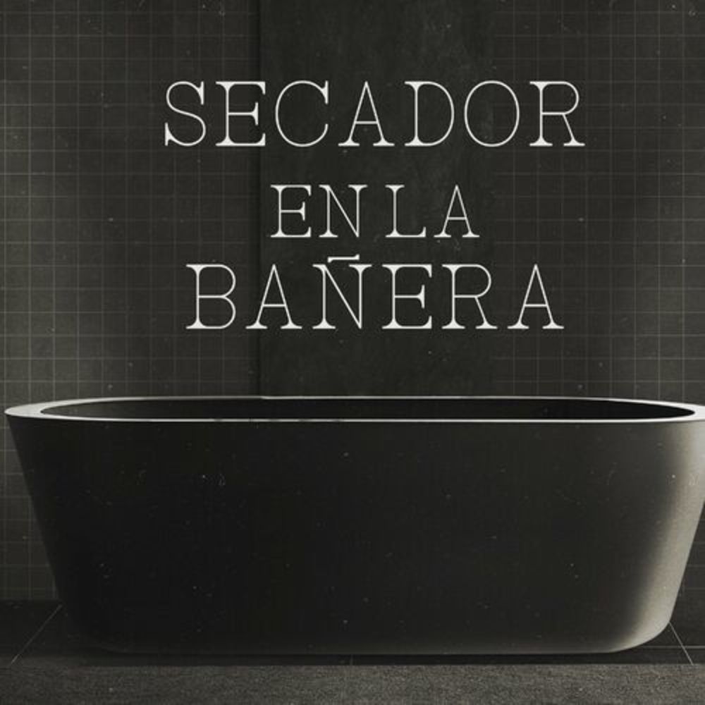 Secador En La Bañera