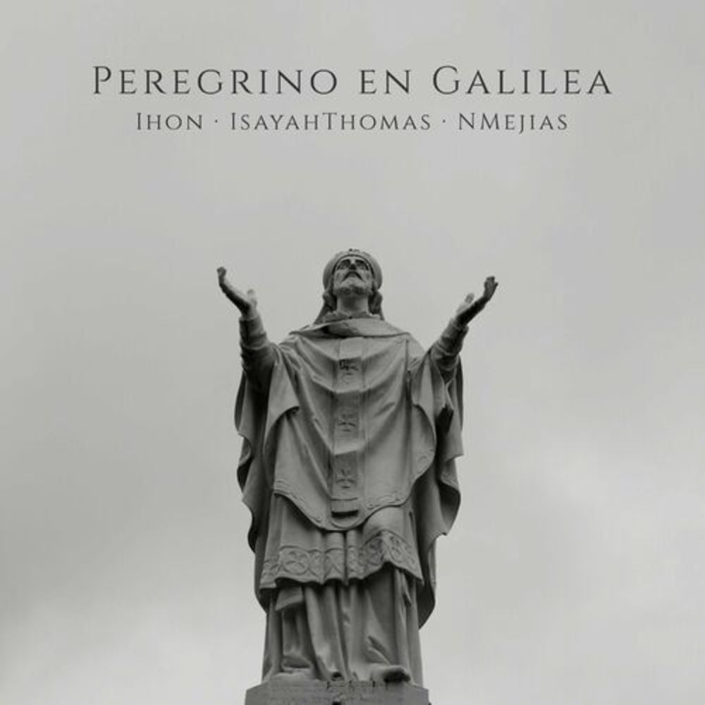 Portada de Peregrino en Galilea