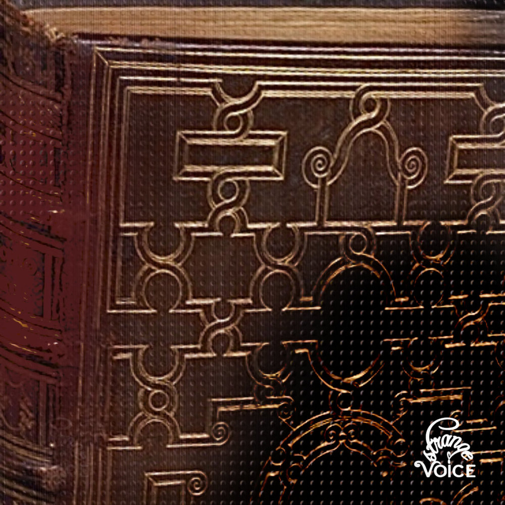 Portada de Stange Voice