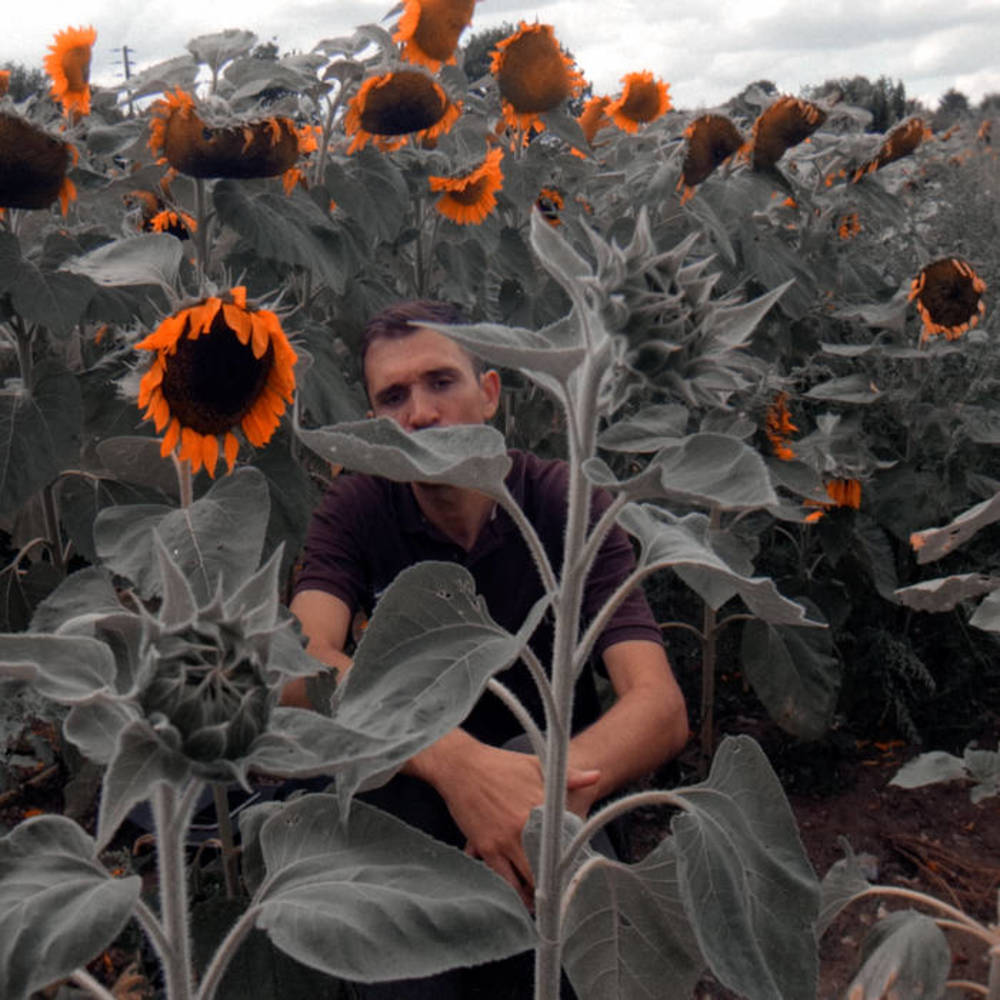 Verbs Without Words - Instrumentals Vol​.​3