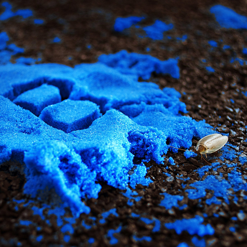 Fluorescent Mud Instrumentalzz