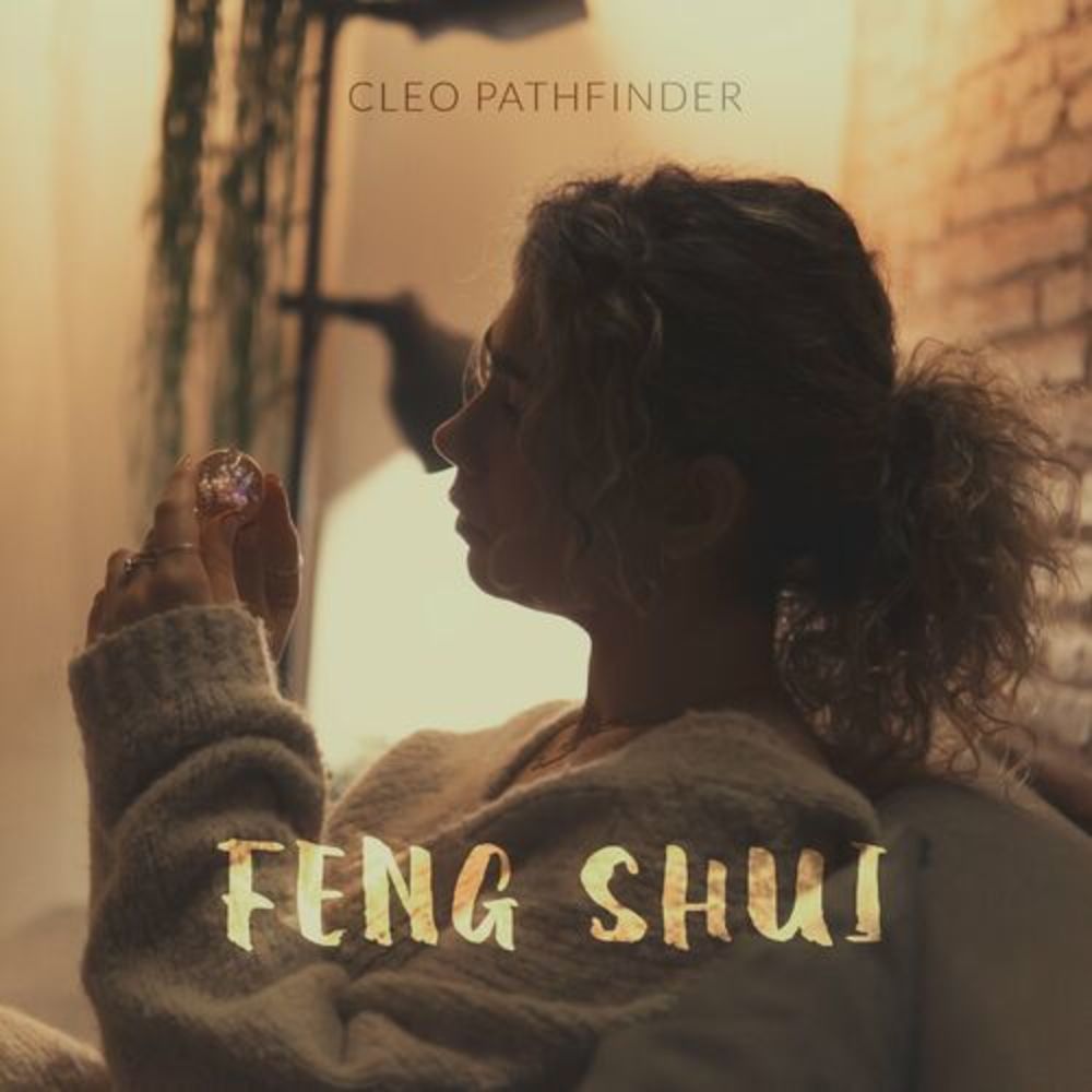 Portada de Feng Shui