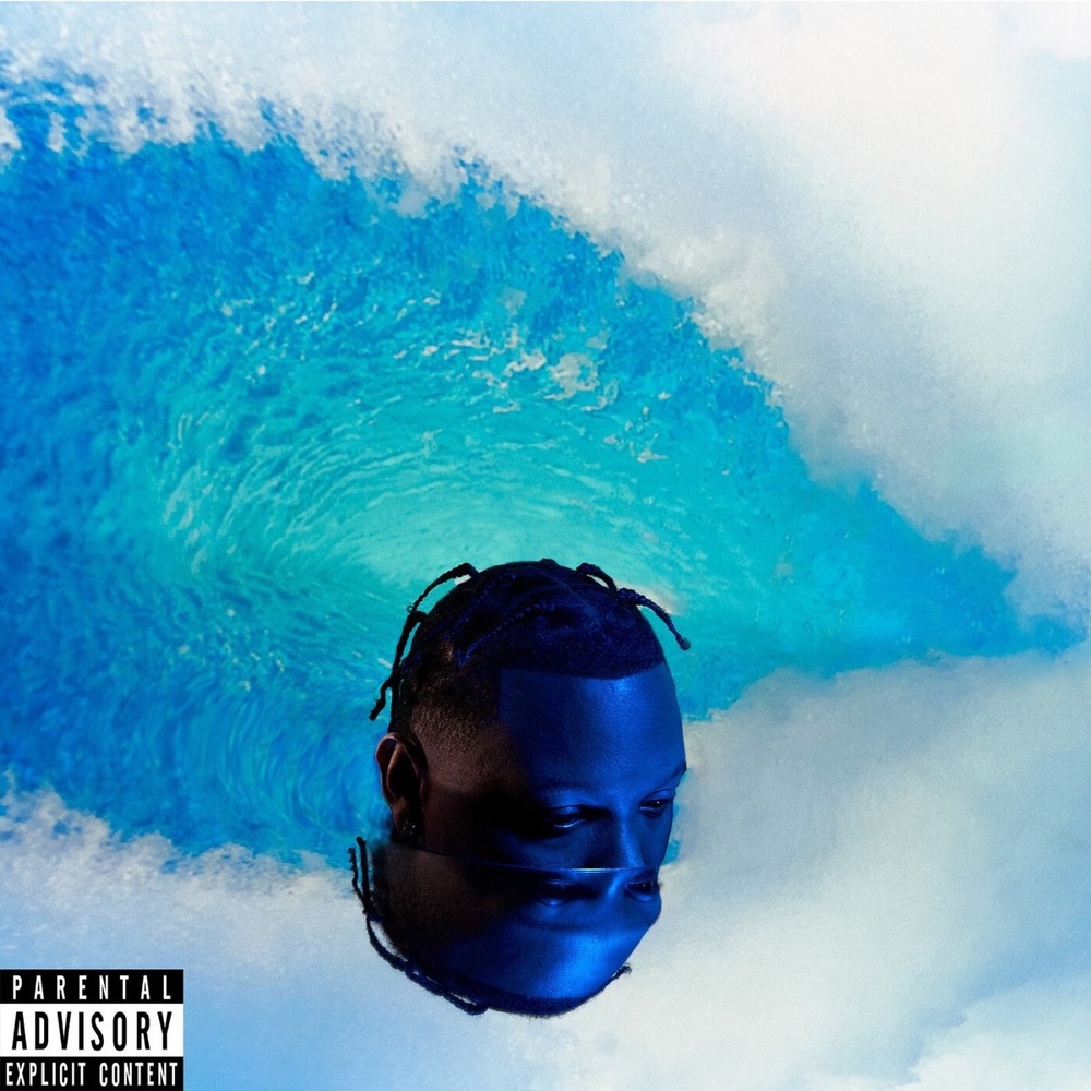 Portada de Surf Or Drown