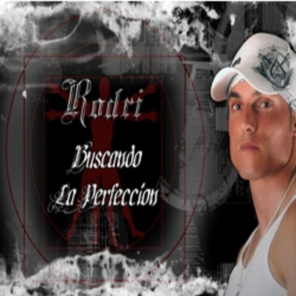 Portada de Buscando La Perfección