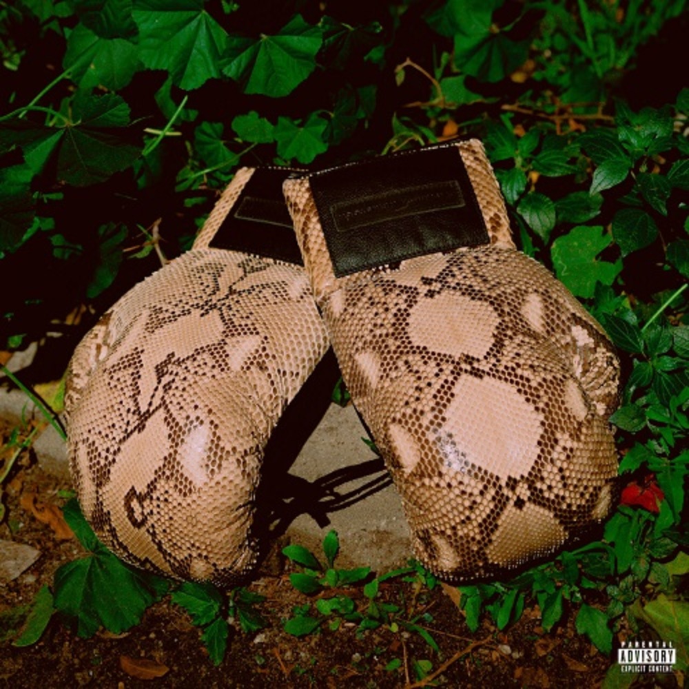 Portada de Theodore & Andre