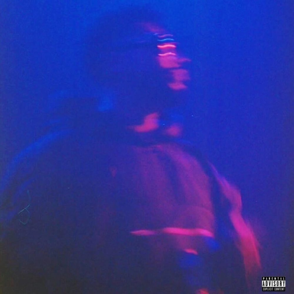 Portada de Nocturnal Hooli 2.0