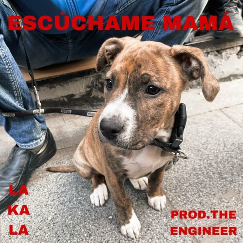 Escúchame Mama