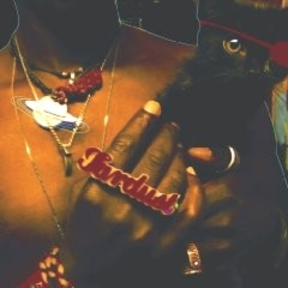 Portada de The Inevitable Rise and Liberation of NiggyTardust!