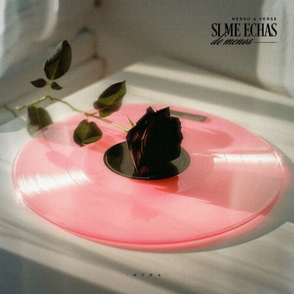 Si Me Echas de Menos