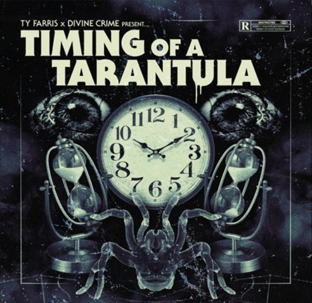 Timing Of A Tarantula