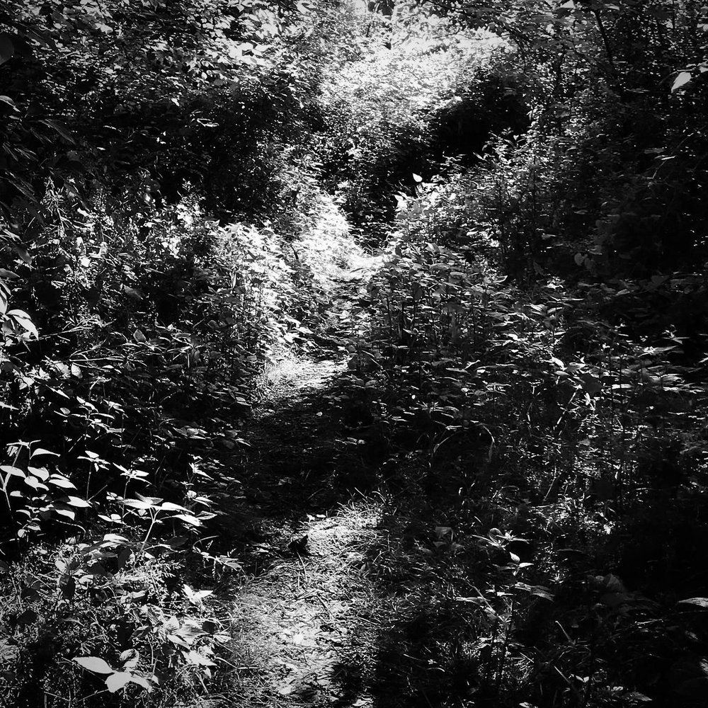 Blend Special | Ep. 5