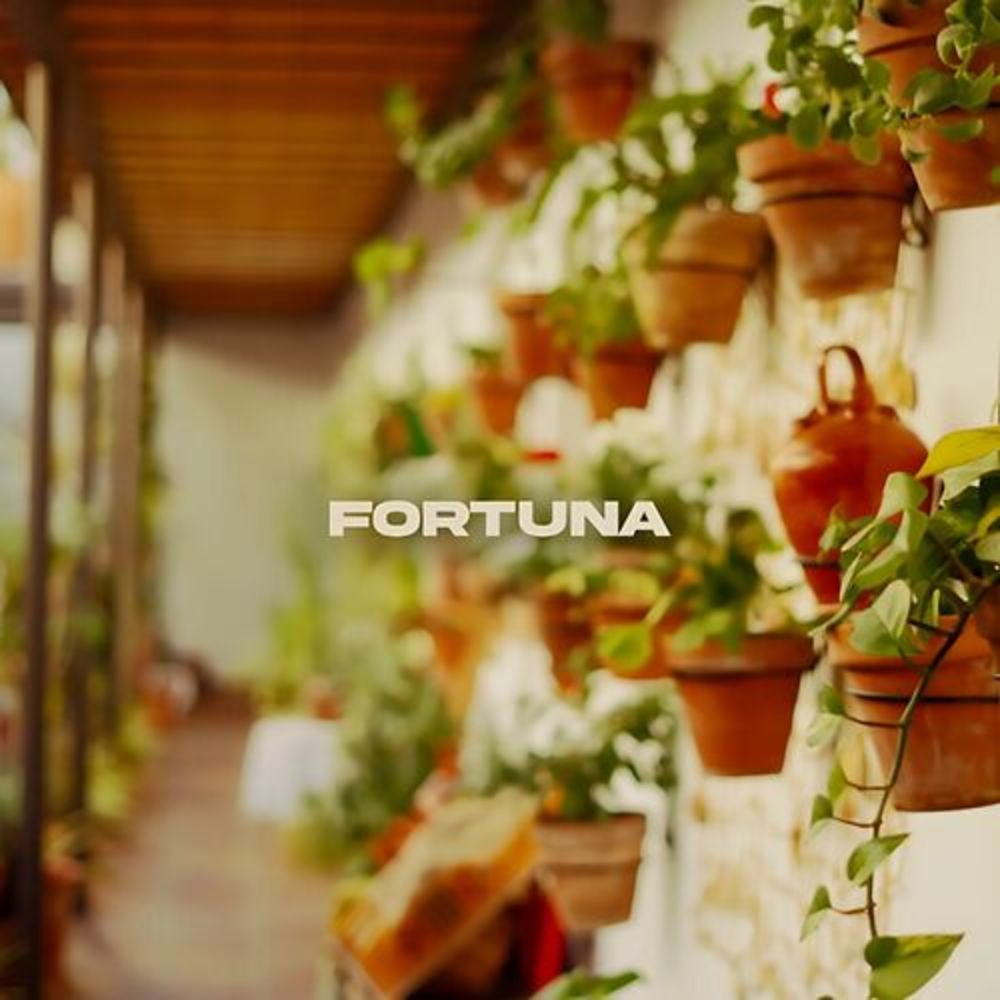 Fortuna