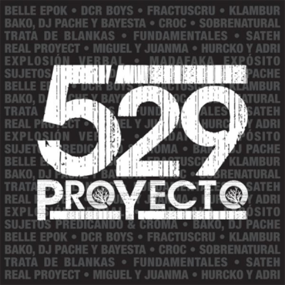529, Proyecto