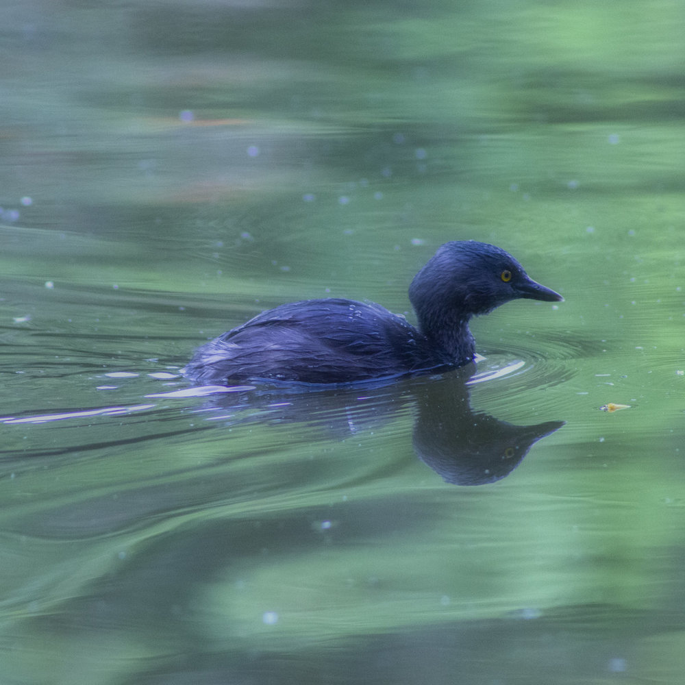 Dormir Un Año Entero
