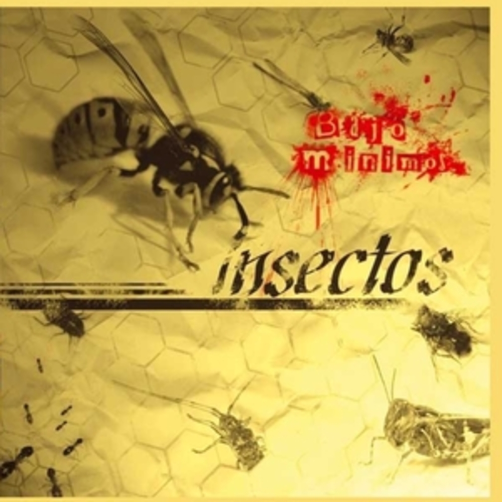 Insectos