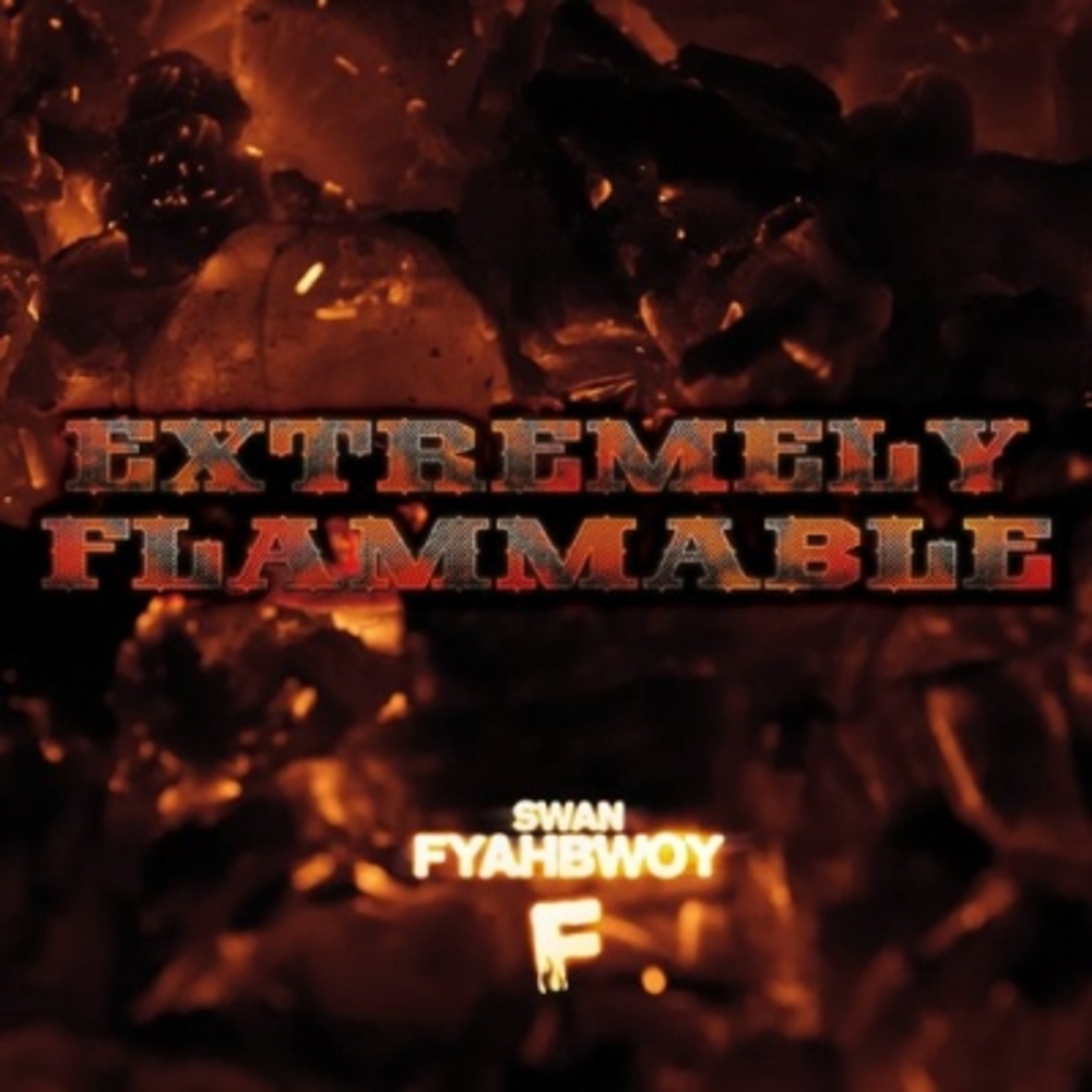 Portada de Extremely Flammable