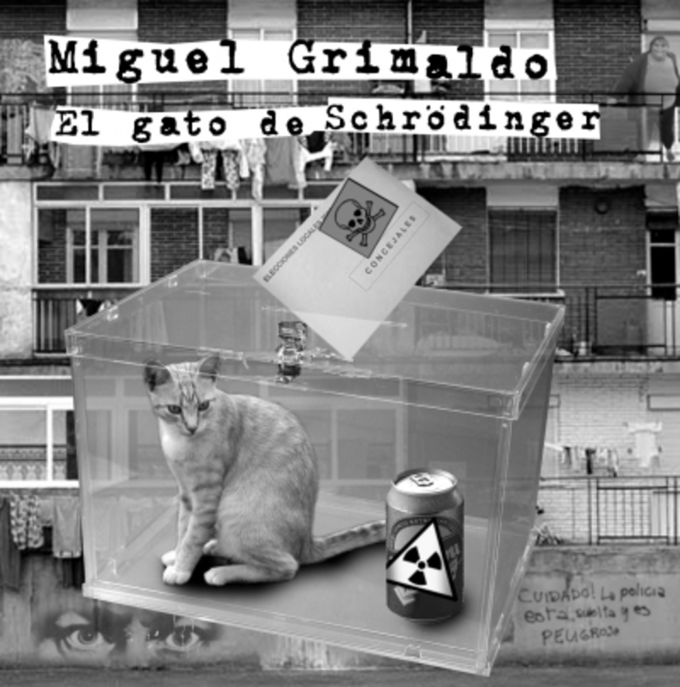 El Gato De Schrödinger