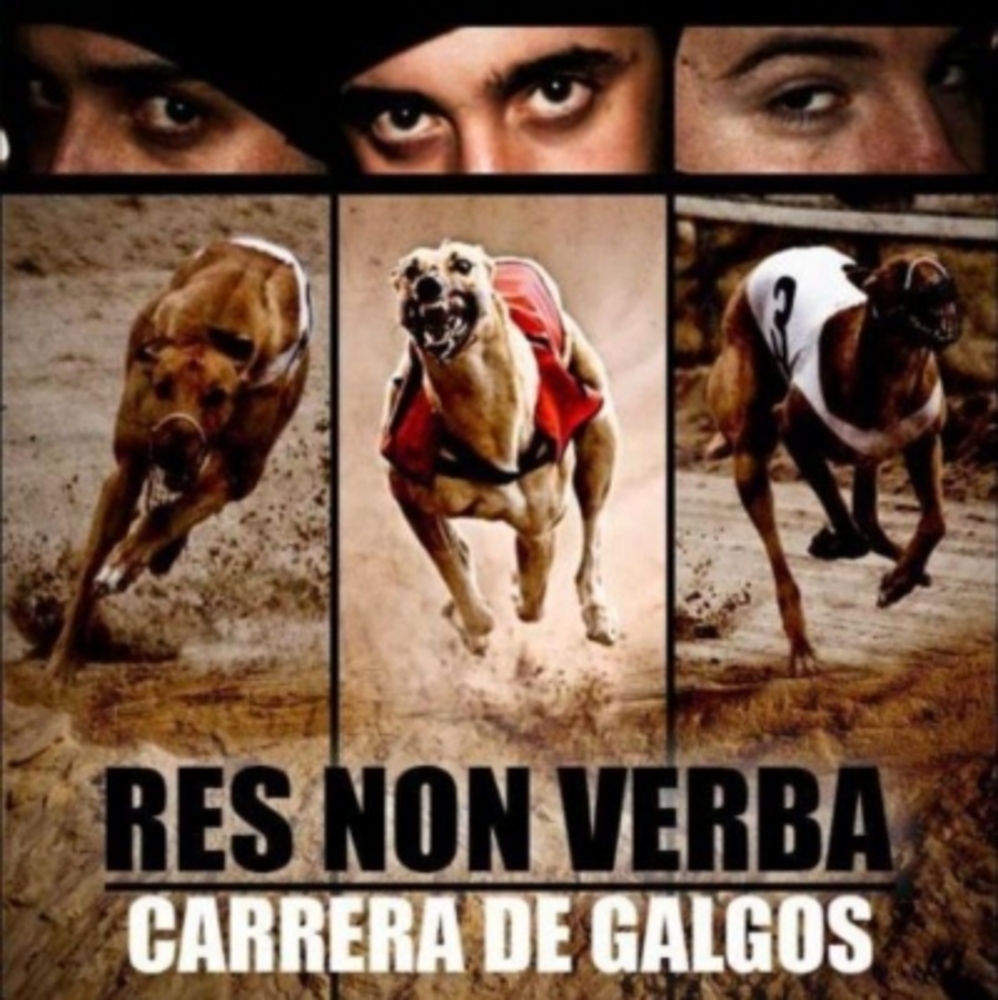 Carrera De Galgos