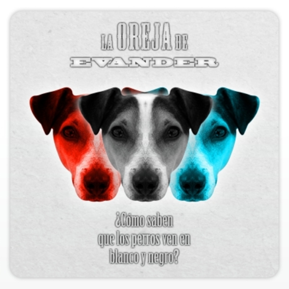 ¿Cómo Saben Que Los Perros Ven En Blanco & Negro?