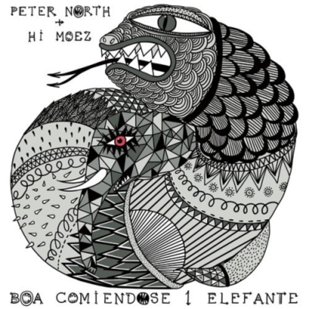 Boa Comiéndose Un Elefante