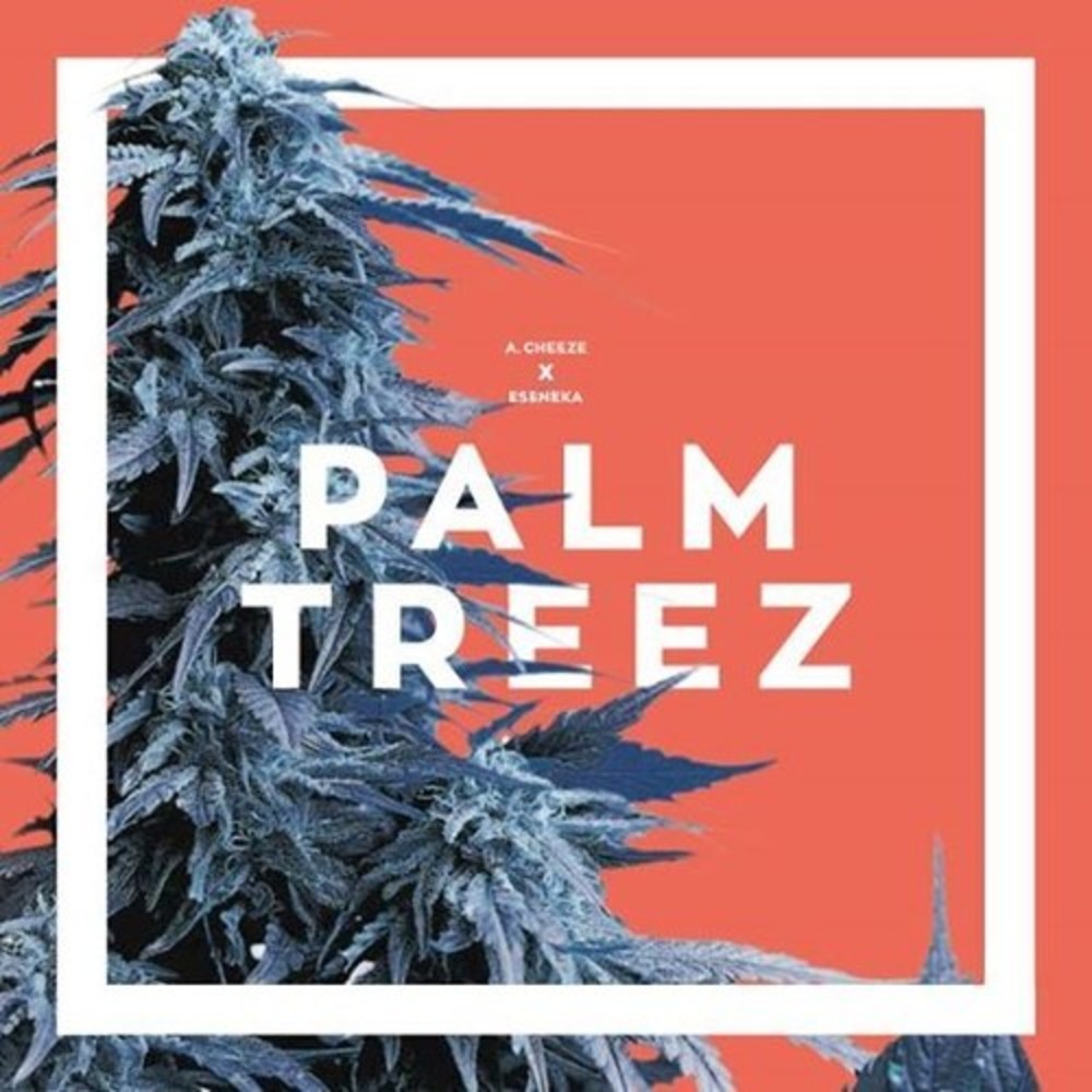 Palm Treez