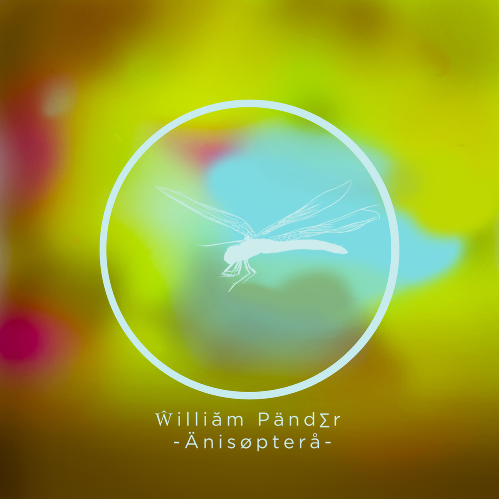Anisoptera