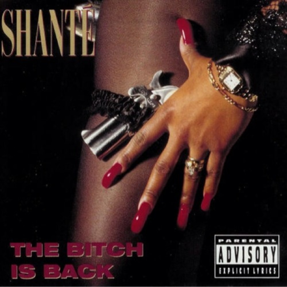 Portada de The Bitch Is Back