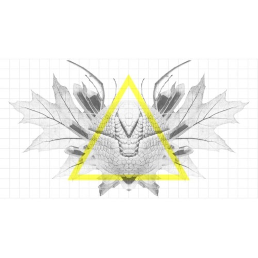 Brilla Como Armadura De Armadillo