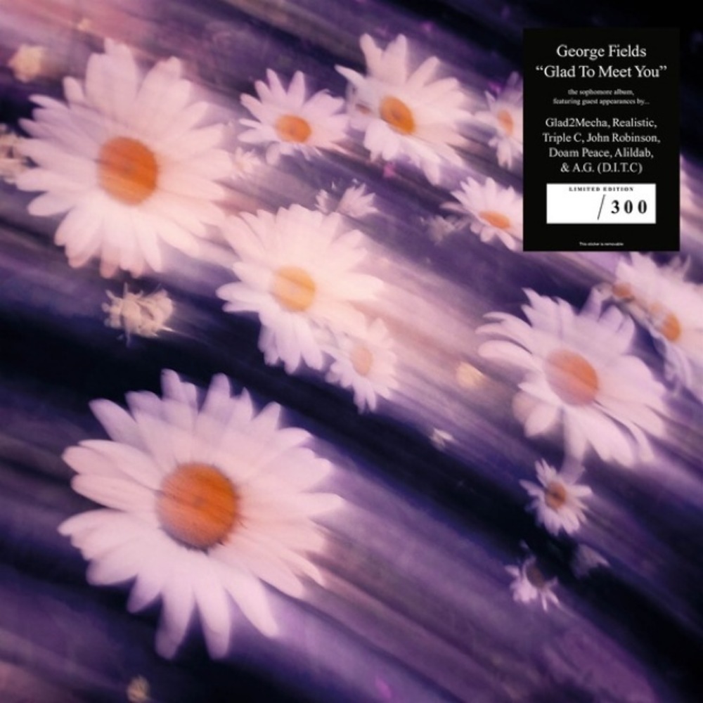 Portada de Glad To Meet You